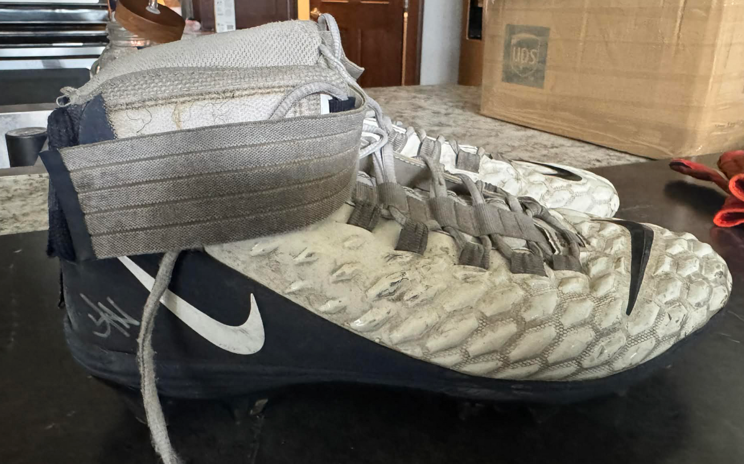 Johnny Newton Game Used Signed Cleats
