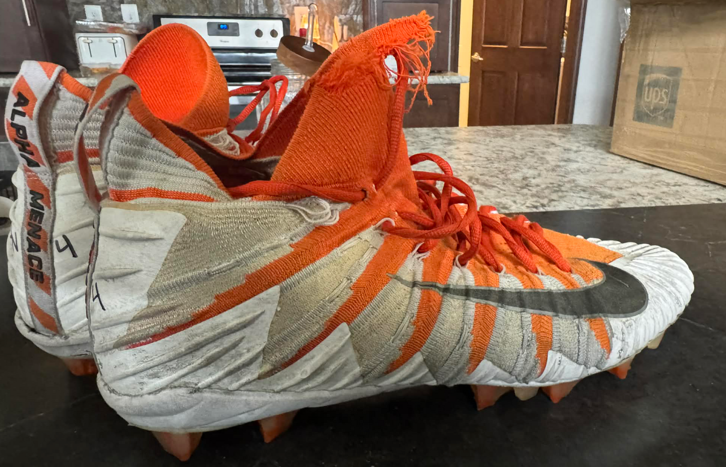 Johnny Newton Game Used Signed Cleats